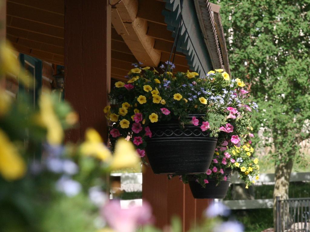 Ouray Inn Exteriér fotografie